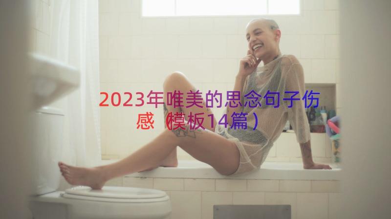 2023年唯美的思念句子伤感（模板14篇）