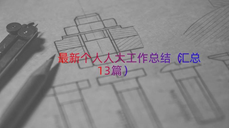 最新个人人大工作总结（汇总13篇）