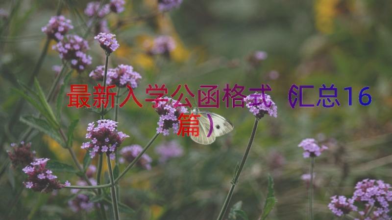 最新入学公函格式（汇总16篇）