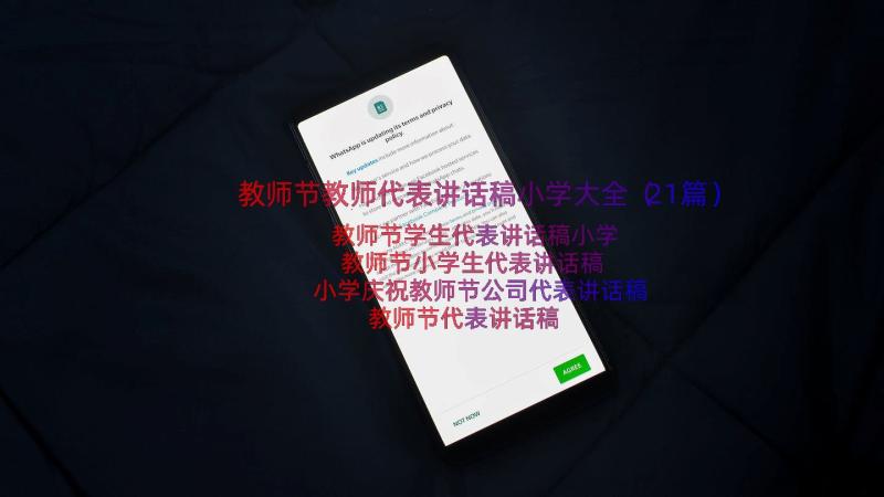 教师节教师代表讲话稿小学大全（21篇）