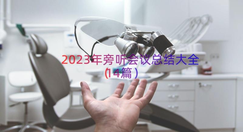 2023年旁听会议总结大全（14篇）