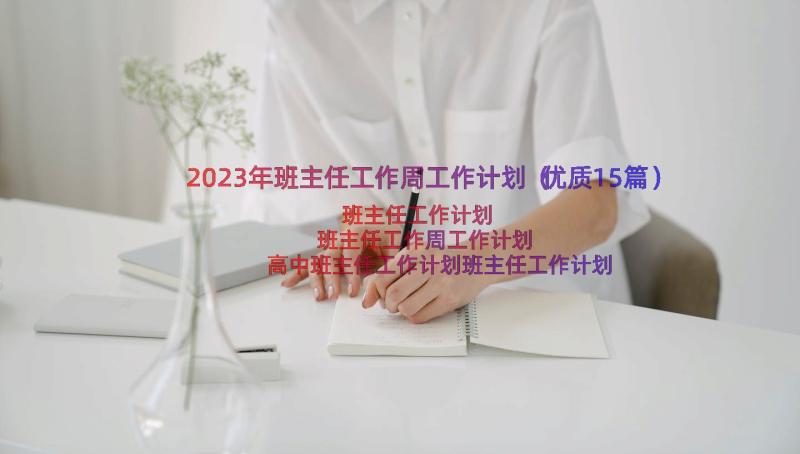 2023年班主任工作周工作计划（优质15篇）