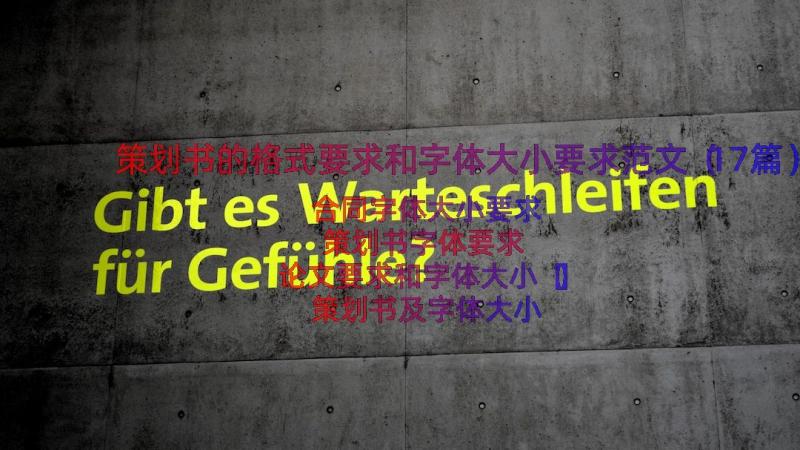 策划书的格式要求和字体大小要求范文（17篇）