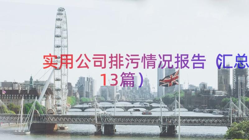 实用公司排污情况报告（汇总13篇）