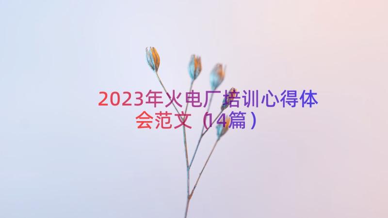 2023年火电厂培训心得体会范文（14篇）