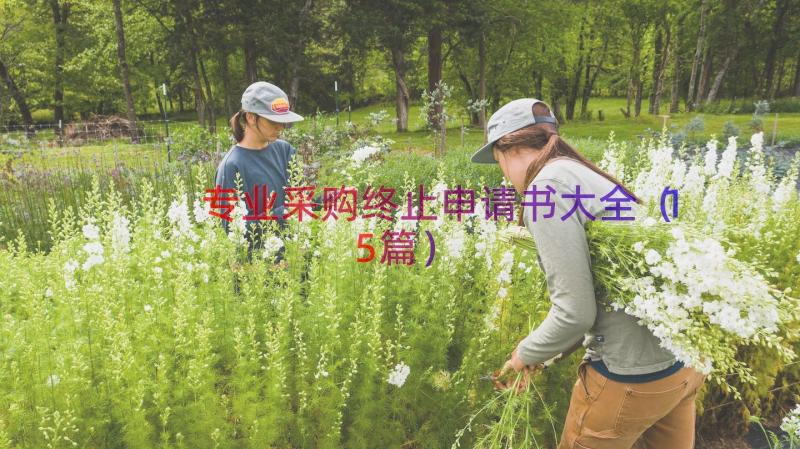 专业采购终止申请书大全（15篇）