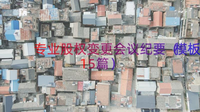 专业股权变更会议纪要模板