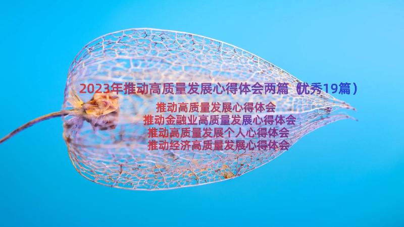 2023年推动高质量发展心得体会两篇（优秀19篇）