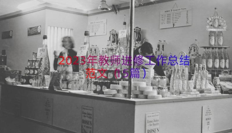 2023年教师进修工作总结范文（15篇）