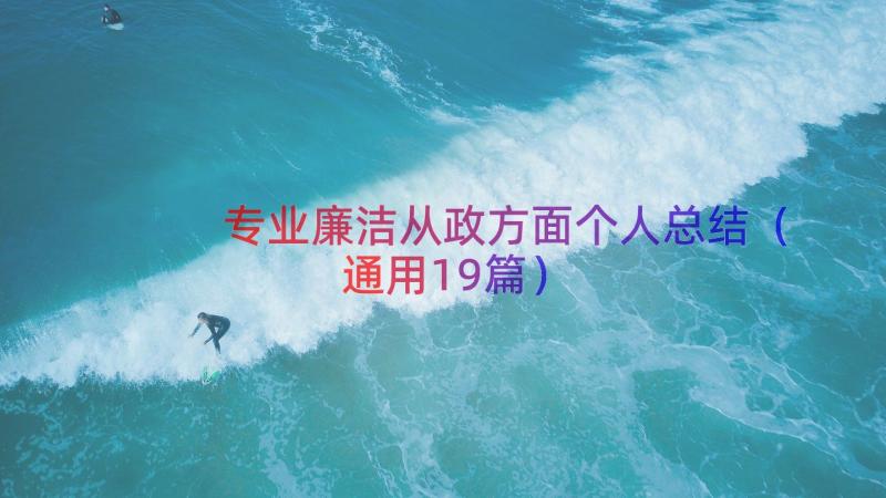 专业廉洁从政方面个人总结（通用19篇）