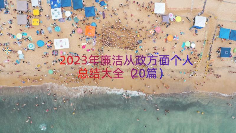 2023年廉洁从政方面个人总结大全（20篇）