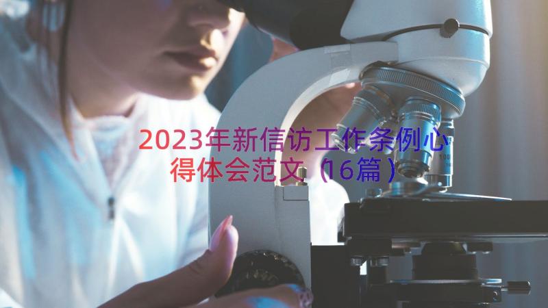 2023年新信访工作条例心得体会范文（16篇）