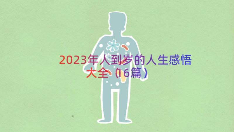 2023年人到岁的人生感悟大全（16篇）