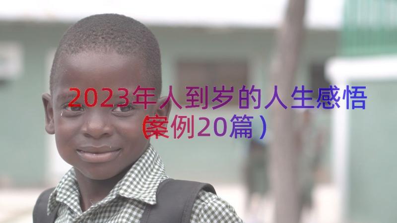 2023年人到岁的人生感悟（案例20篇）