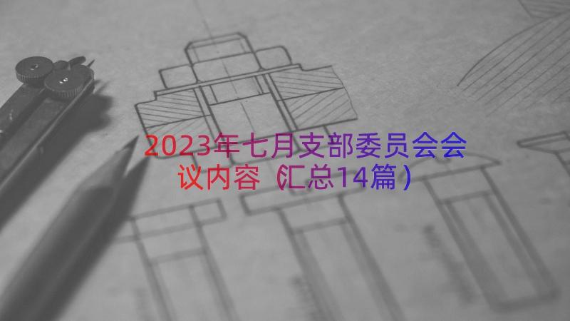 2023年七月支部委员会会议内容（汇总14篇）