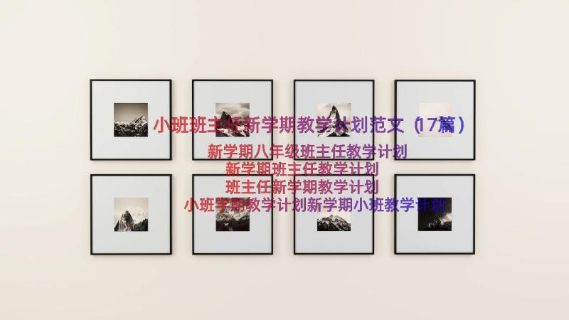 小班班主任新学期教学计划范文（17篇）