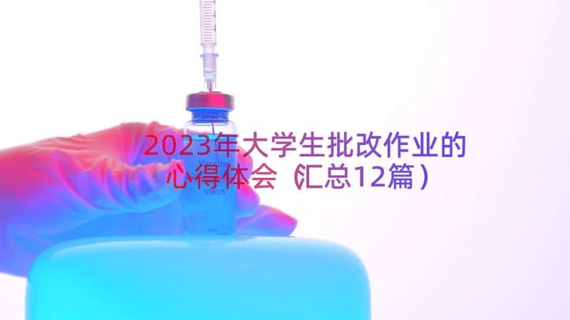 2023年大学生批改作业的心得体会（汇总12篇）