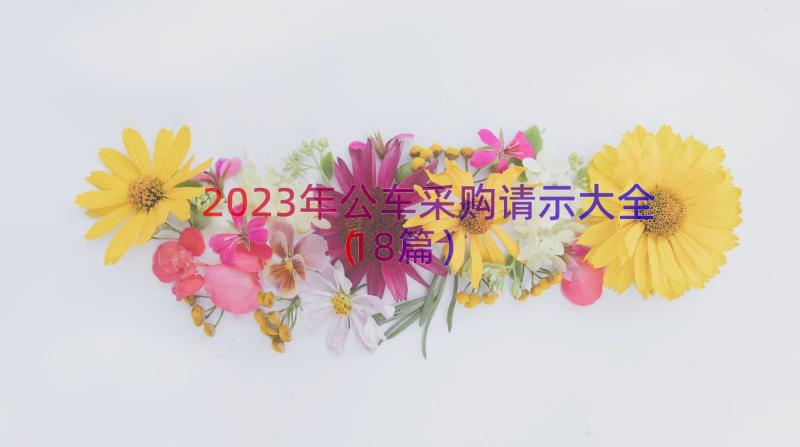 2023年公车采购请示大全（18篇）