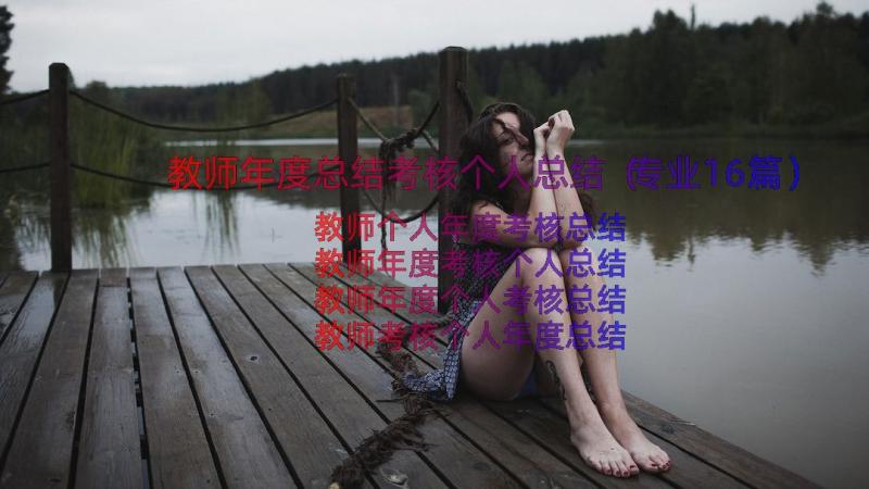 教师年度总结考核个人总结（专业16篇）