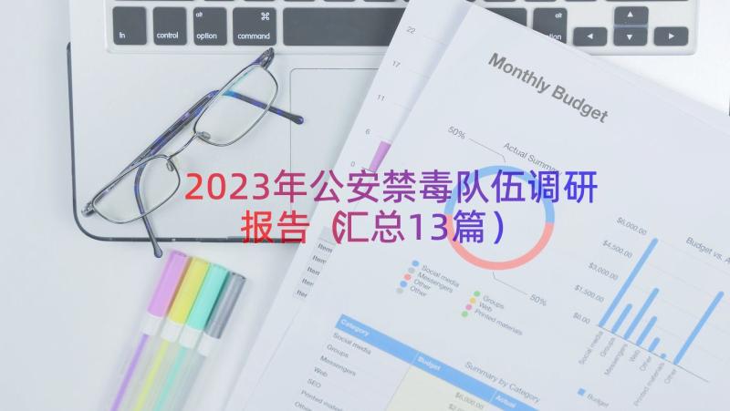 2023年公安禁毒队伍调研报告（汇总13篇）