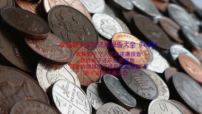 政协班子述职述廉报告大全（16篇）