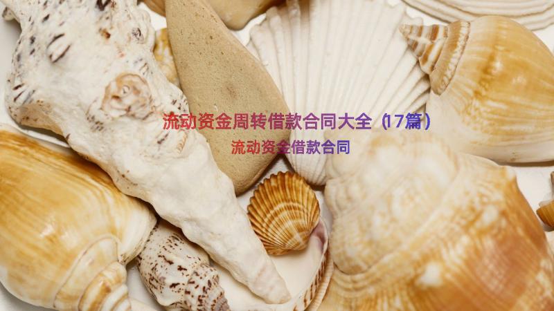 流动资金周转借款合同大全（17篇）