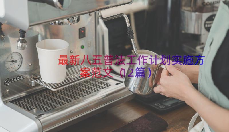 最新八五普法工作计划实施方案范文（12篇）