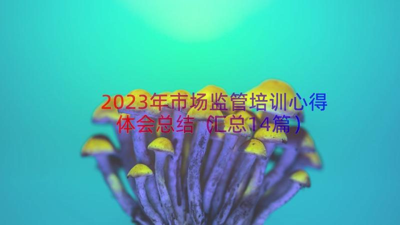 2023年市场监管培训心得体会总结（汇总14篇）