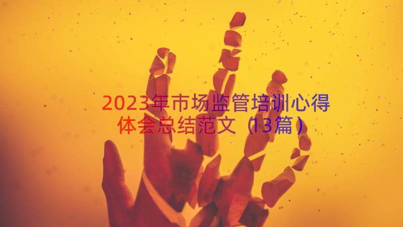 2023年市场监管培训心得体会总结范文（13篇）