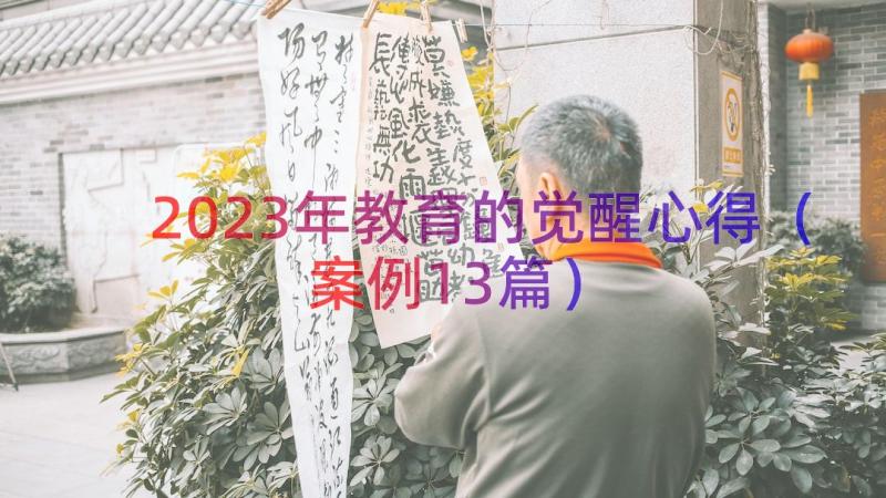 2023年教育的觉醒心得（案例13篇）