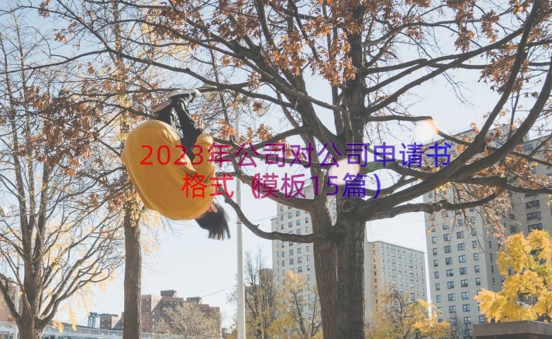 2023年公司对公司申请书格式（模板15篇）