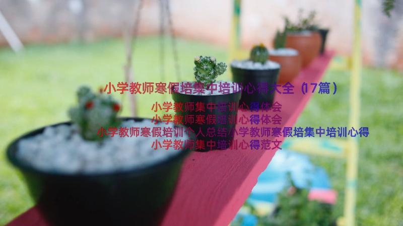 小学教师寒假培集中培训心得大全（17篇）