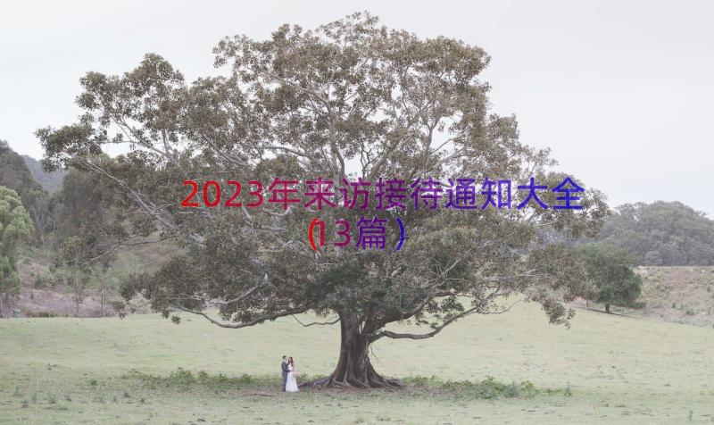 2023年来访接待通知大全（13篇）