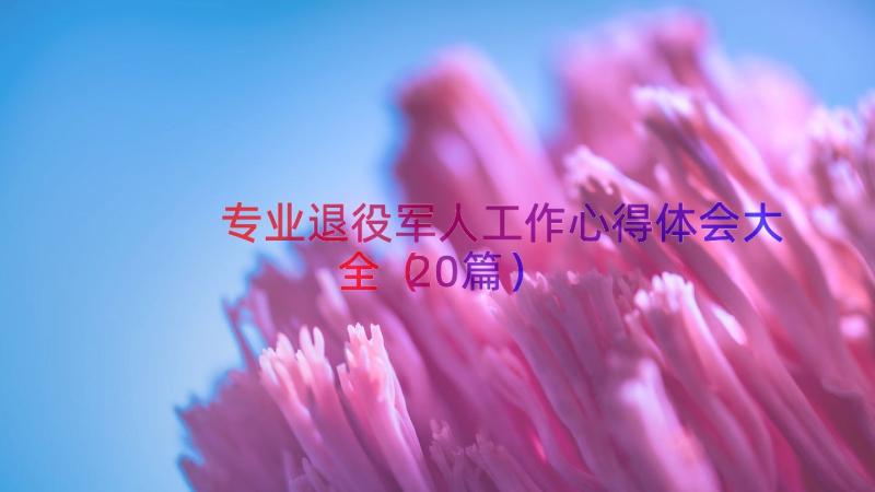 专业退役军人工作心得体会大全（20篇）