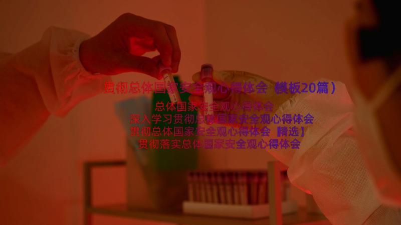 贯彻总体国家安全观心得体会（模板20篇）