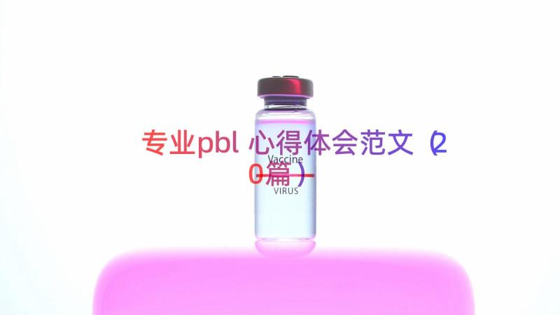 专业pbl心得体会范文（20篇）