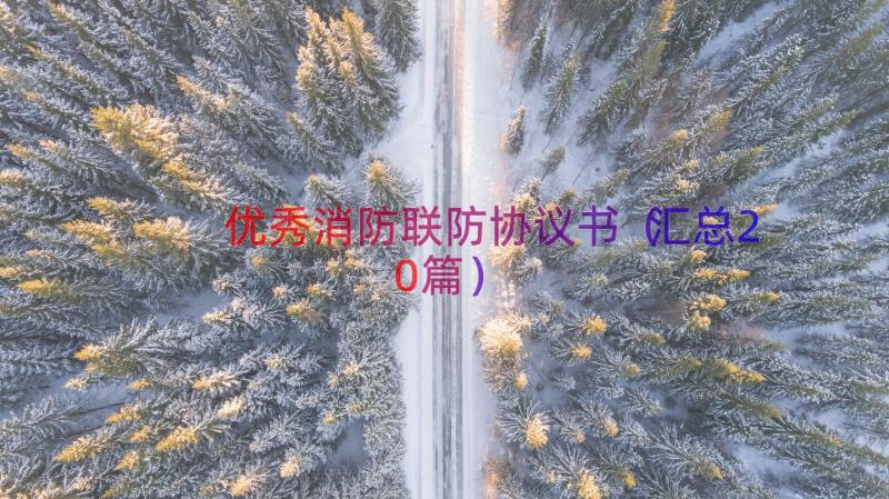 优秀消防联防协议书（汇总20篇）