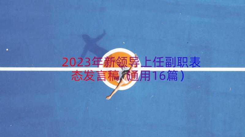 2023年新领导上任副职表态发言稿（通用16篇）