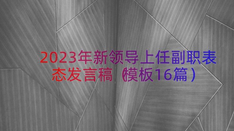 2023年新领导上任副职表态发言稿（模板16篇）