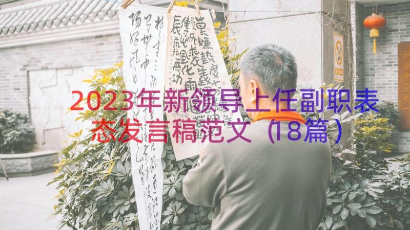 2023年新领导上任副职表态发言稿范文（18篇）