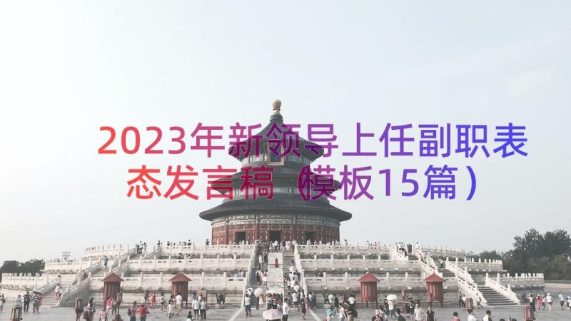 2023年新领导上任副职表态发言稿（模板15篇）