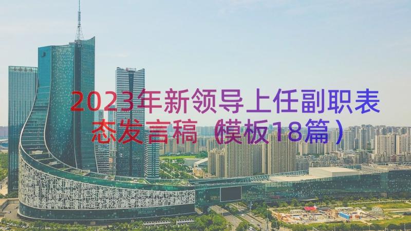 2023年新领导上任副职表态发言稿（模板18篇）