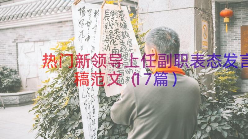 热门新领导上任副职表态发言稿范文（17篇）