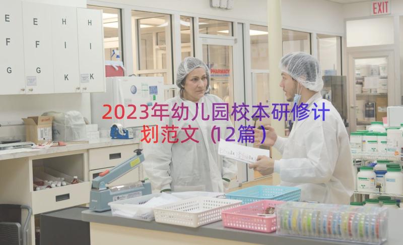 2023年幼儿园校本研修计划范文（12篇）