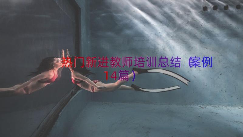 热门新进教师培训总结（案例14篇）