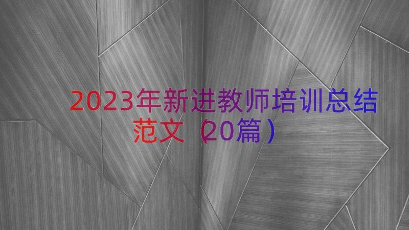 2023年新进教师培训总结范文（20篇）