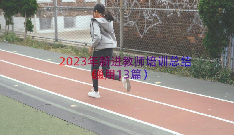 2023年新进教师培训总结（通用13篇）