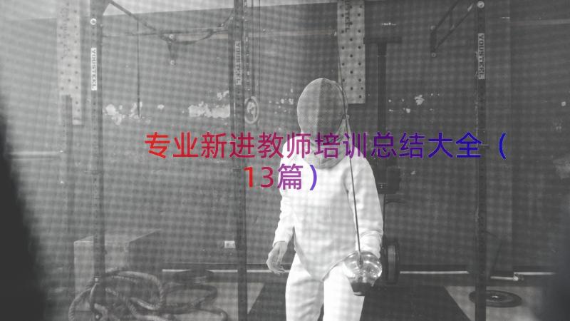 专业新进教师培训总结大全（13篇）