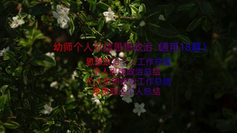 幼师个人总结思想政治（通用18篇）