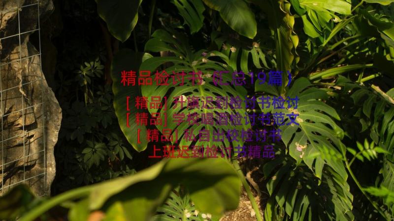 精品检讨书（汇总19篇）